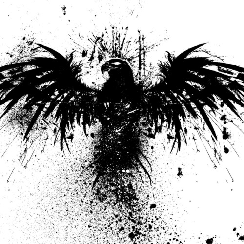 Albatross ver4