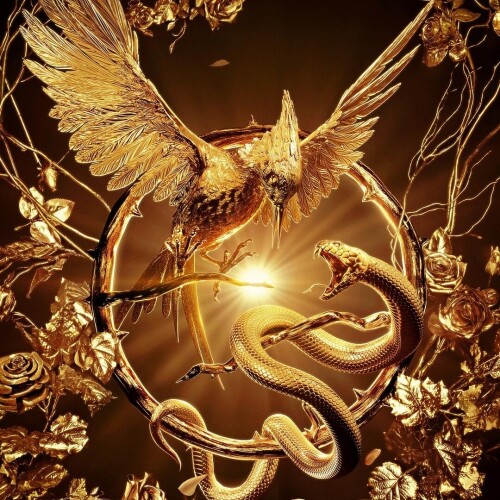 Gold High