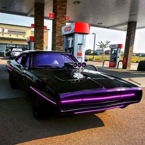 Black Arrow