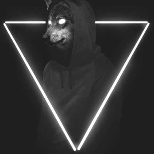 Undefeated Triangle