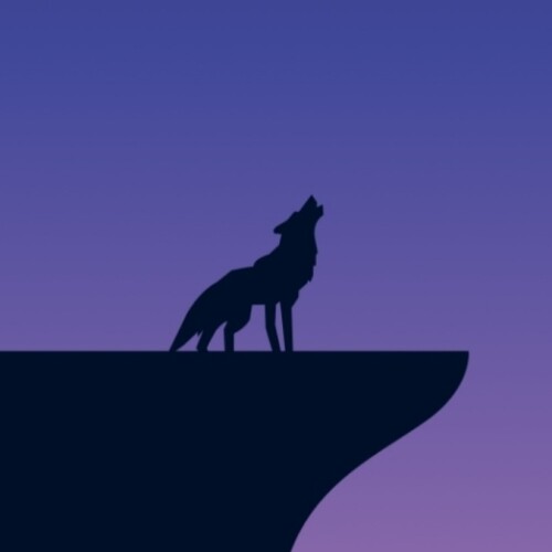 Black Wolf