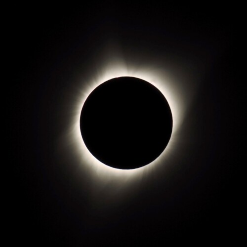 Dark Venus Scalping