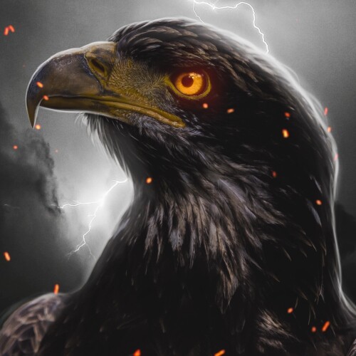 Night Hawk EA